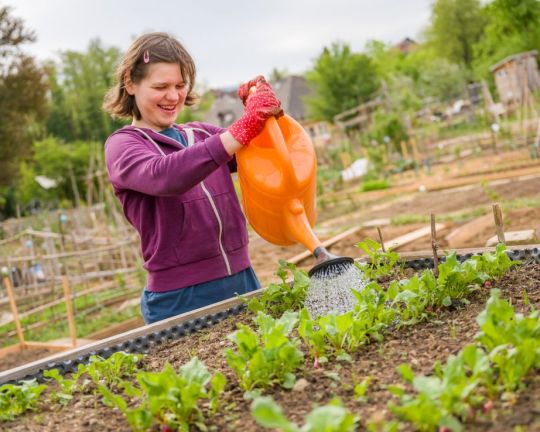 Eine Teilnehmerin  von "zusammen wachsen - ökologischer Gartenbau für Jugendliche und junge Menschen mit Behinderungen"  gießt Salat