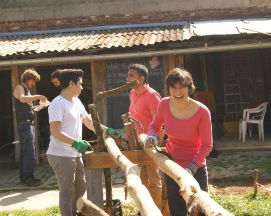Drei Personen bearbeiten Baumstämme im Gemeinschaftsgarten