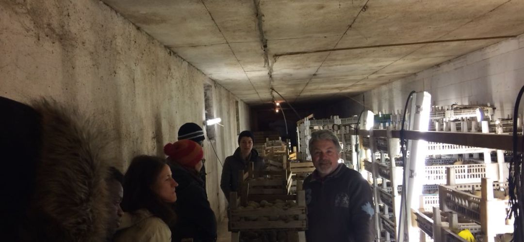 Fünf Personen sind in einem Kartoffellager.