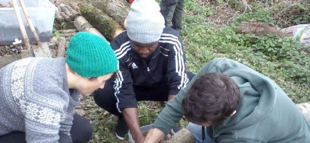 3 Personen bearbeiten einen abgesägten Baumstamm.