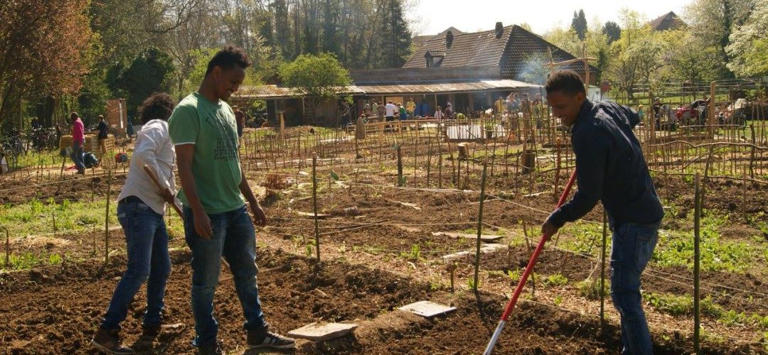 Drei Personen arbeiten in den Beeten