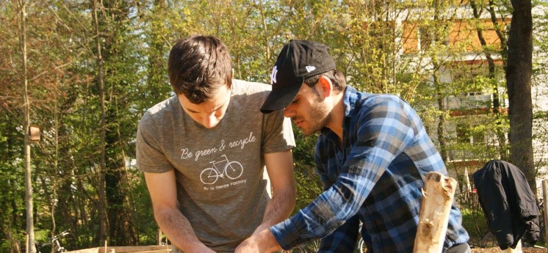 Zwei Personen sägen Bambus für einen Zaun im Gemeinschaftsgarten.