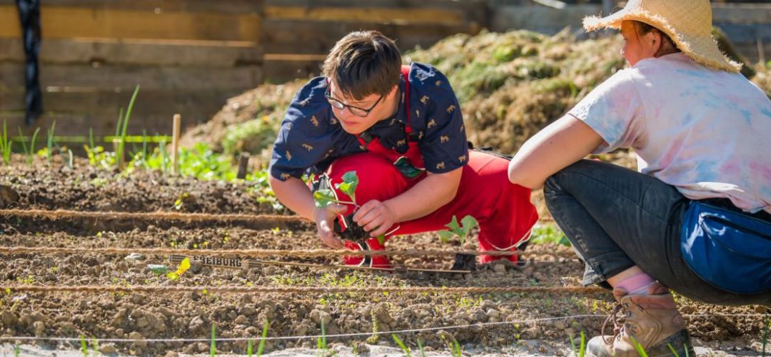2 Personen sind im Beet und pflanzen Zöglinge ein.