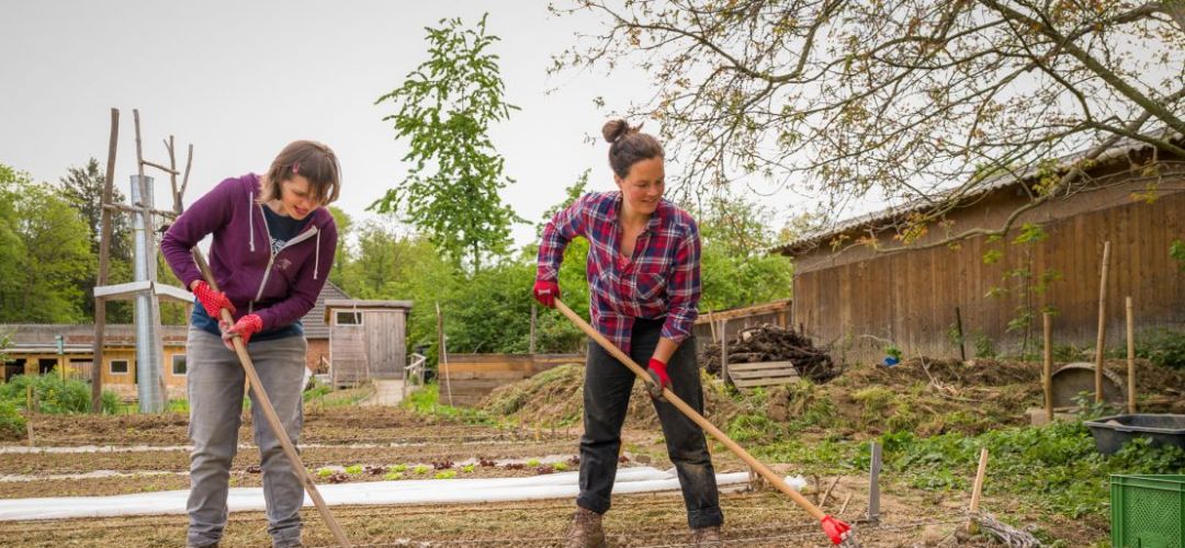 Zwei Personen harken das Beet im Gemeinschaftsgarten.