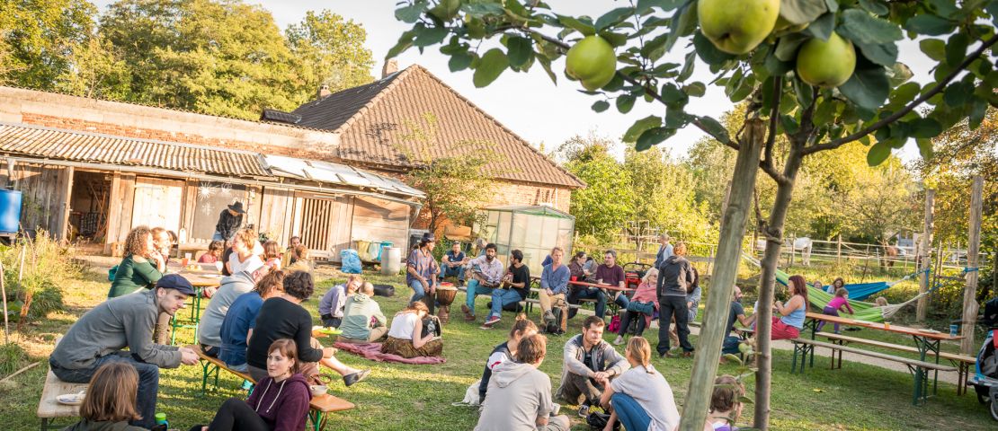 Impression von einem Herbstfest von  zusammen leben im Gemeinschaftsgarten: Menschen chillen auf der Wiese vor einem Quittenbaum.